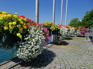 Promenade Überlingen